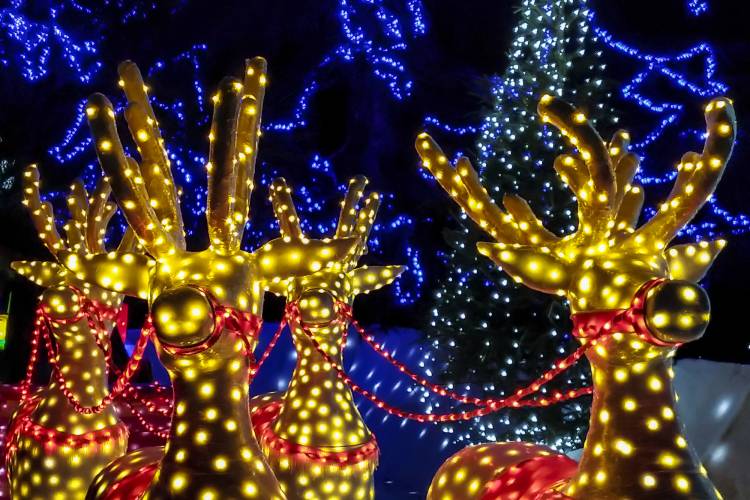 holiday-lights