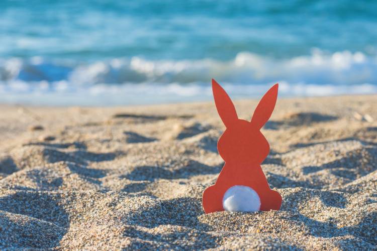 easter-bunny-on-beach