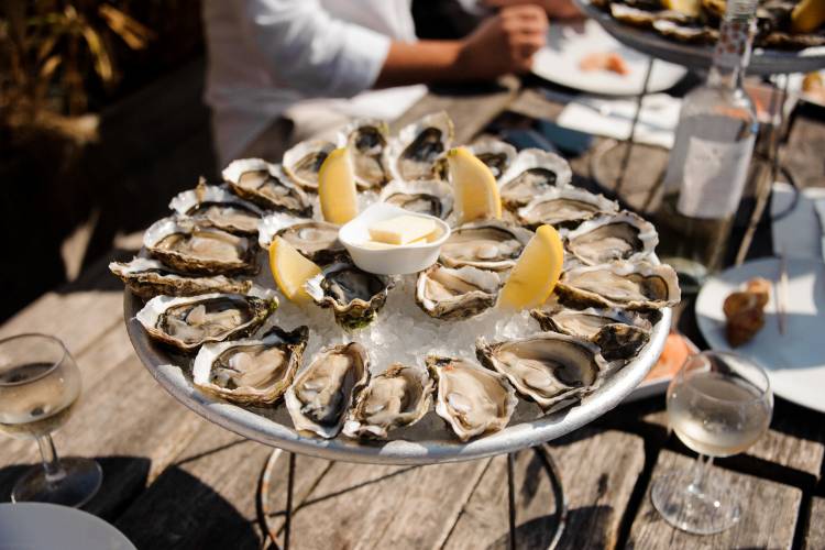 oysters