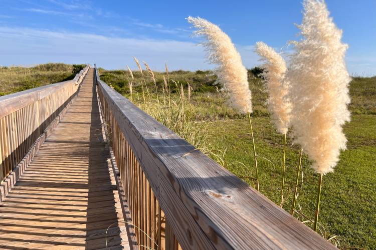 beach-breeze