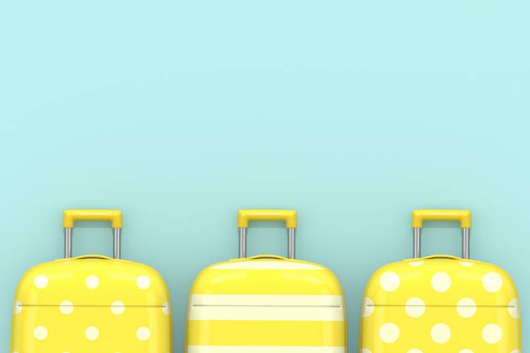 luggage