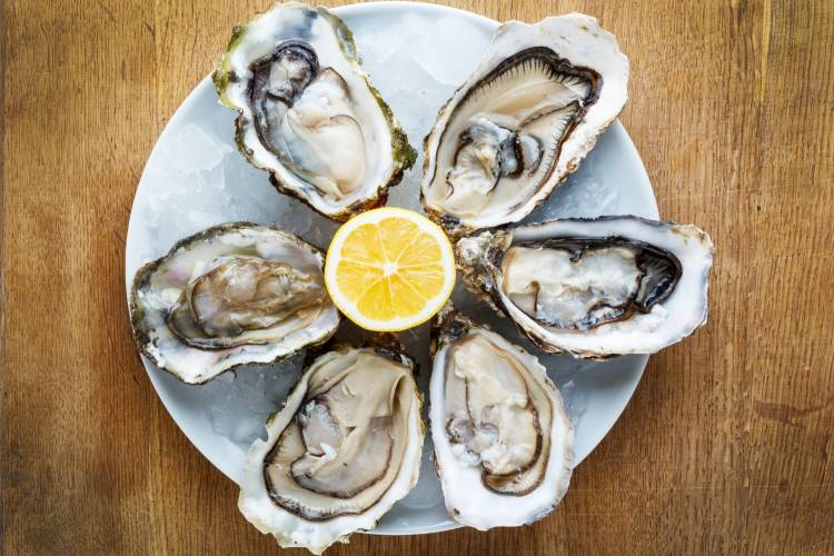 fresh-oysters