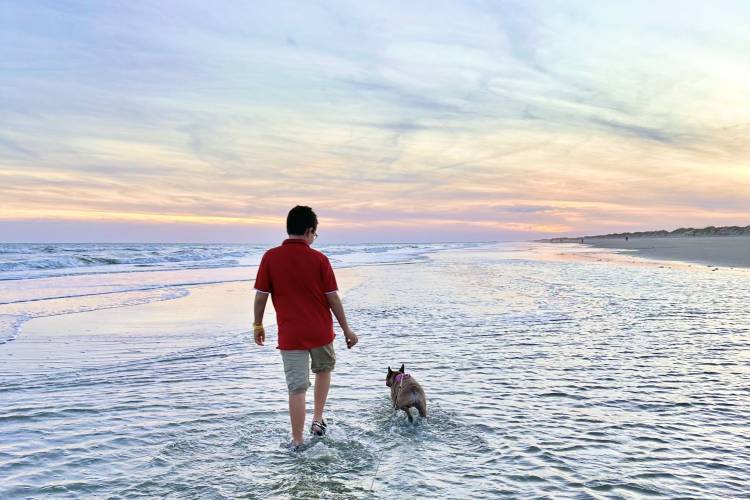 dog-friendly-beach