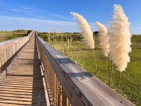 dunes-view