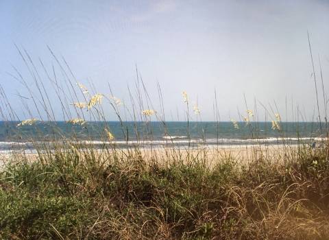 dunes-view