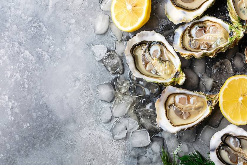 Oysters sitting in ice from top