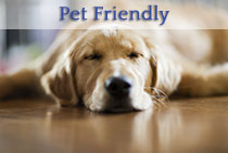 Featured Pet Friendly